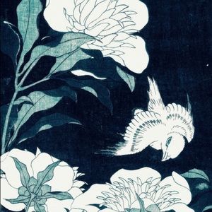 [so nice to meet you~!]